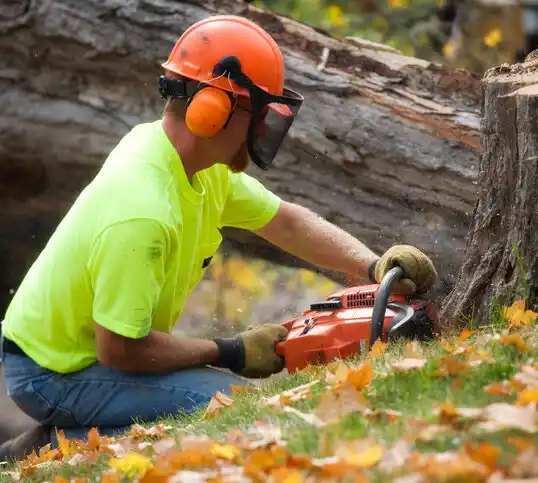 tree services Victoria